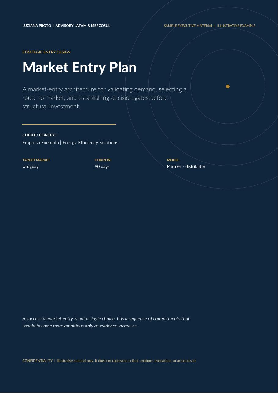 Market Entry Plan — sample page preview